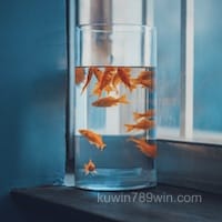 Ảnh đại diện Mai Xuân Trang